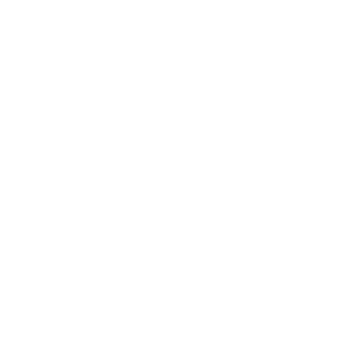 X-ray Icon