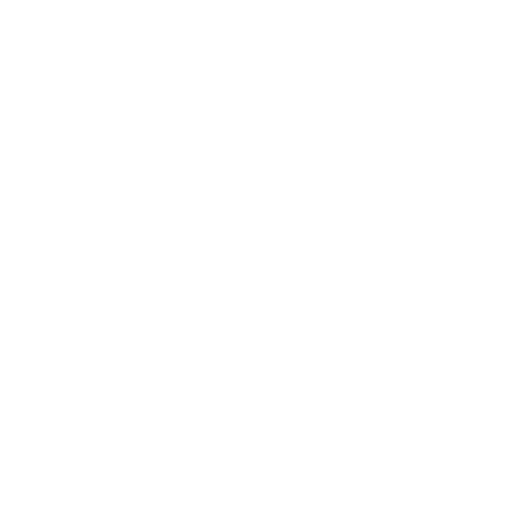Ultrasound Icon